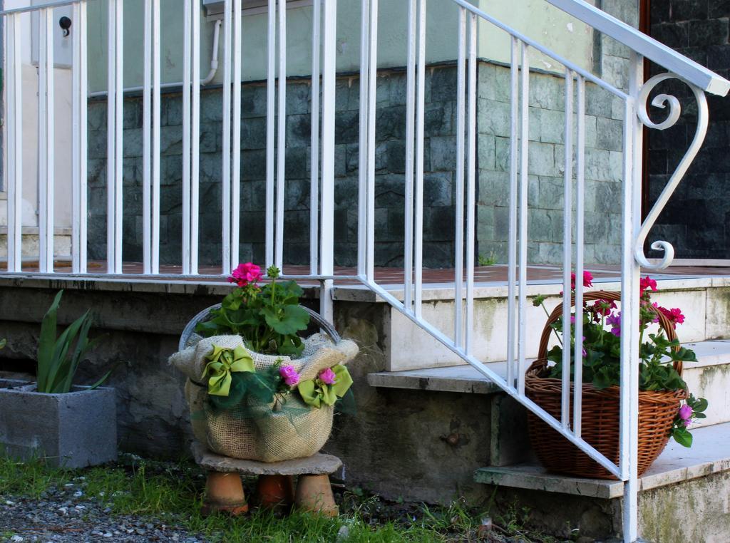 Hotel La Mia Casa Di Campagna Rovieto Zewnętrze zdjęcie