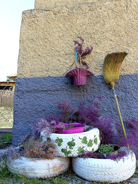 Hotel La Mia Casa Di Campagna Rovieto Zewnętrze zdjęcie